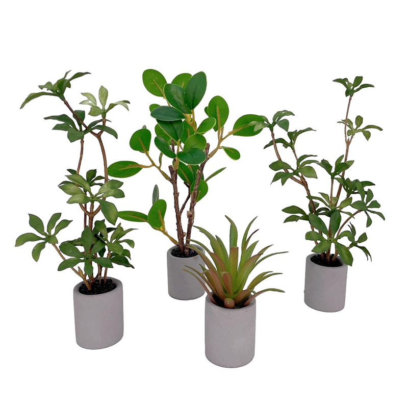 Bonsai Garden Kit - 1:6 인형의 집 미니어처 화분, 녹색