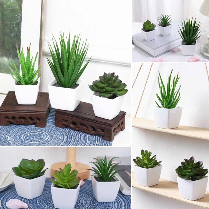 Bonsai Garden Kit - (3PCS 세트) 집, 레스토랑, 탁상, 창턱
