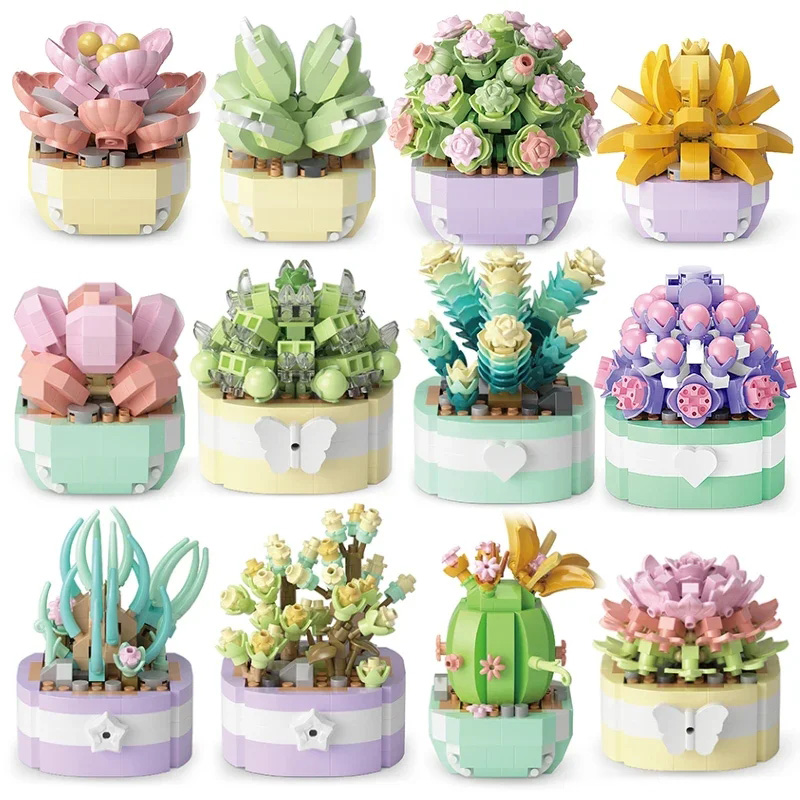 Bonsai Garden Kit - 다육 식물 빌딩 블록, 선인장 안개꽃