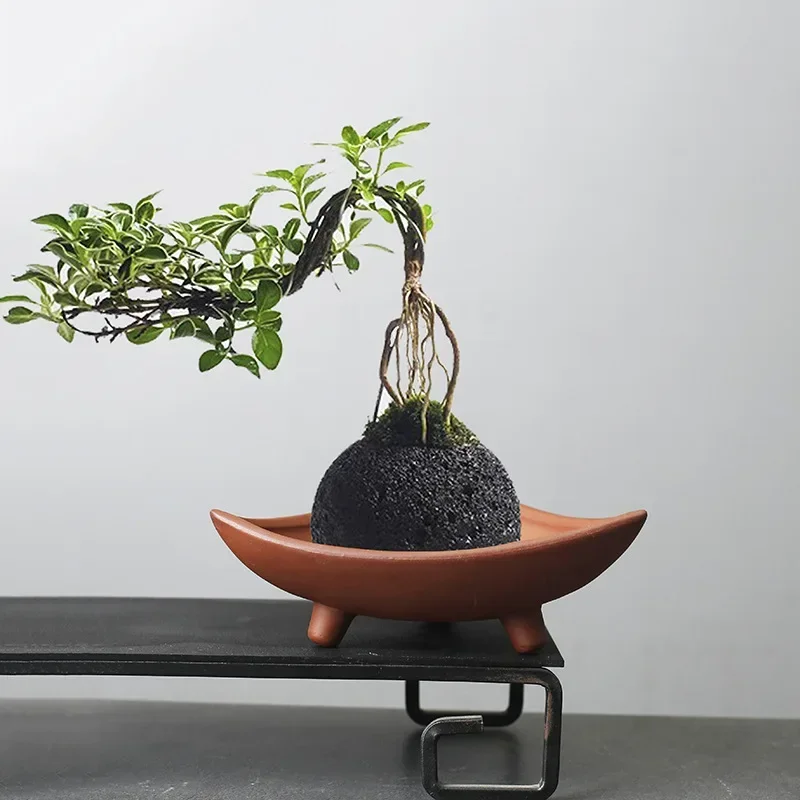 Japanese Garden Bonsai - 맞춤형 세라믹 화분, 대나무 실내 마이크로
