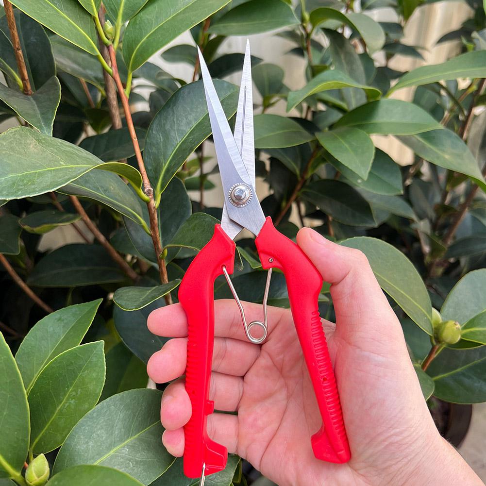 Bonsai Garden Tools - 프로 가든 전정가위 연장형 나무 꽃