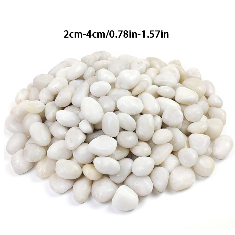300/600g 광택 처리된 흰색 자갈, 화분 표면 장 - Bonsai Rock Garden 리뷰 및 가격