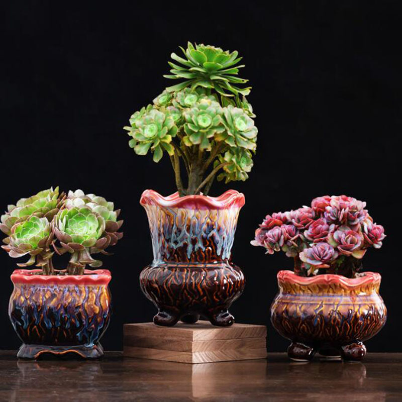 창의적인 유약 화분 다육 화분 분재 화분, 녹색 식물  - Bonsai Tree Zen Garden 리뷰 및 가격
