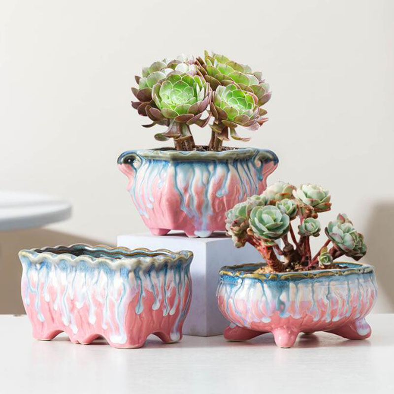 창의적인 유약 화분 다육 화분 분재 화분, 녹색 식물  - Bonsai Tree Zen Garden 리뷰 및 가격