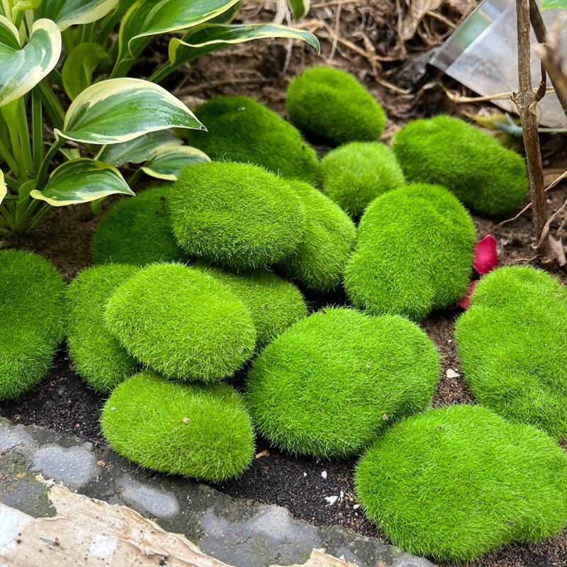 5/30pcs 시뮬레이션 이끼 돌 인공 이끼 돌 공 가 - Bonsai Rock Garden 리뷰 및 가격
