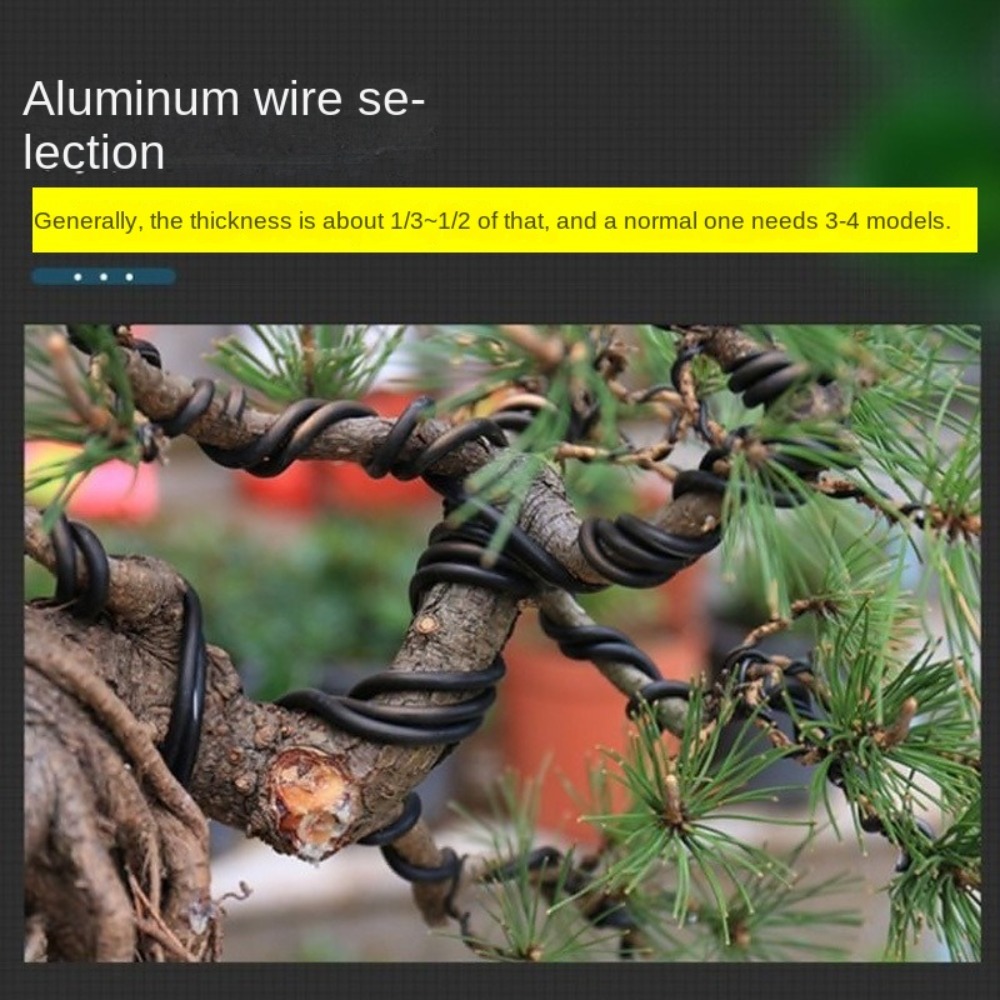 알루미늄 분재 와이어 정원 분재 모양 만들기 1//2/ - Bonsai Garden Tools 리뷰 및 가격