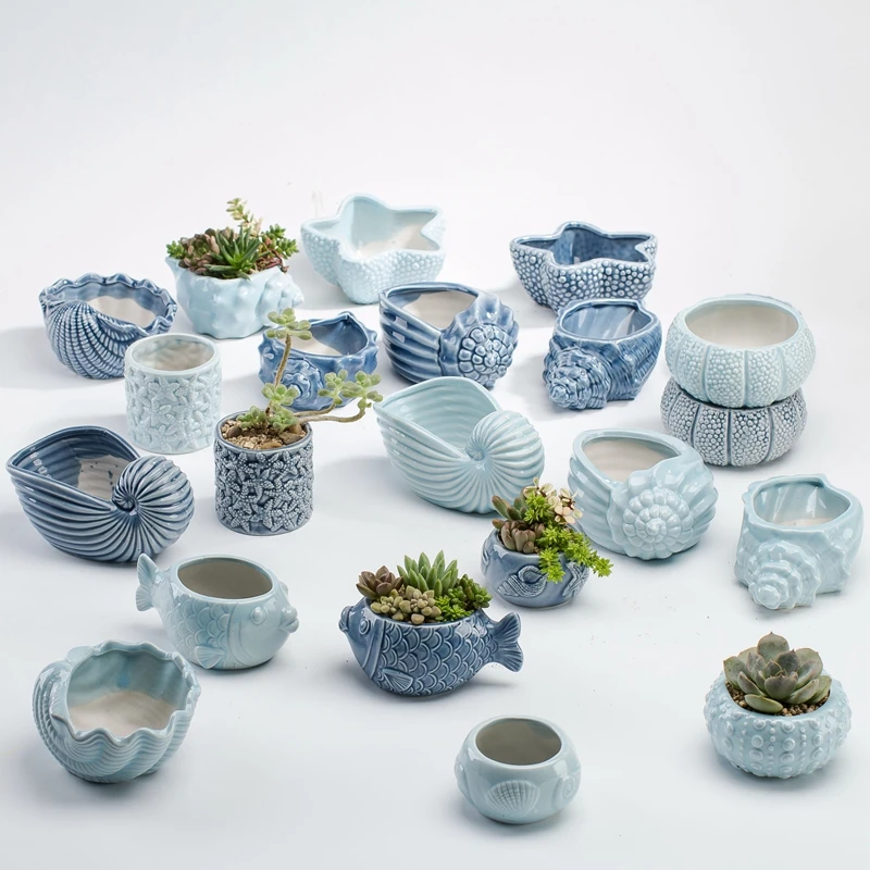 유럽 ​​스타일 귀여운 다육 화분 Pocelain 푸른 - Bonsai Tree Zen Garden 리뷰 및 가격