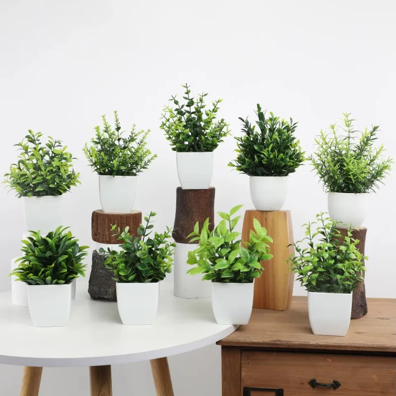 인공 미니 화분 식물, 가짜 스프레이 유칼립투스 식물, - Bonsai Garden Kit 리뷰 및 가격