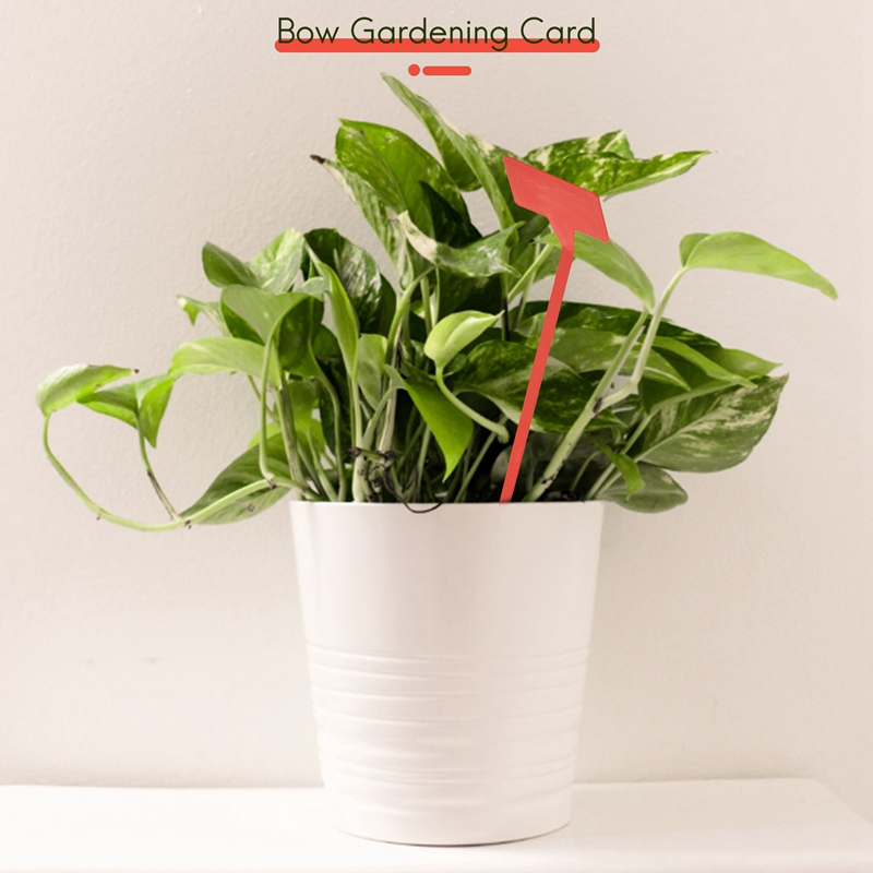ABYP 정원 심기 도구 50 Pcs 분재 플라스틱 식 - Bonsai Garden Tools 리뷰 및 가격