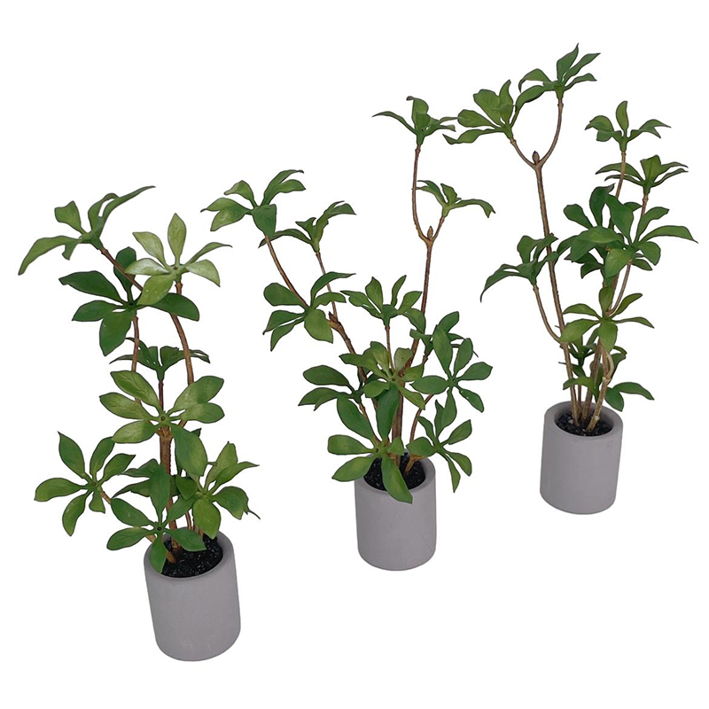 1:6 인형의 집 미니어처 화분, 녹색 잎 식물, 분재 - Bonsai Garden Kit 리뷰 및 가격