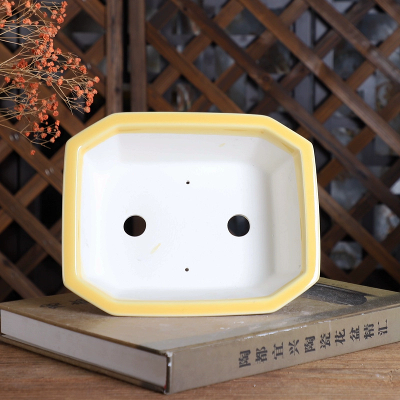 도자기 직사각형 분재 냄비, 중국 전통 패턴, 방, 가 - Bonsai Garden Table 리뷰 및 가격