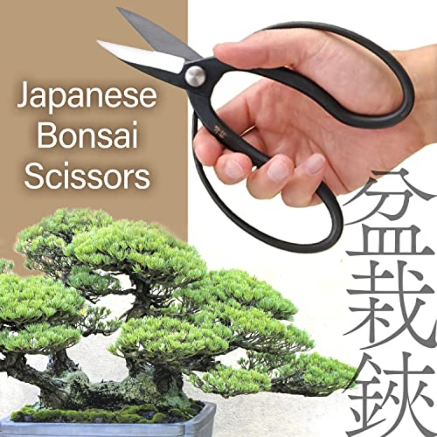 일본 수이류 분재 가위 - 전통 하사미 전정 가위, 일 - Japan Bonsai Garden 리뷰 및 가격