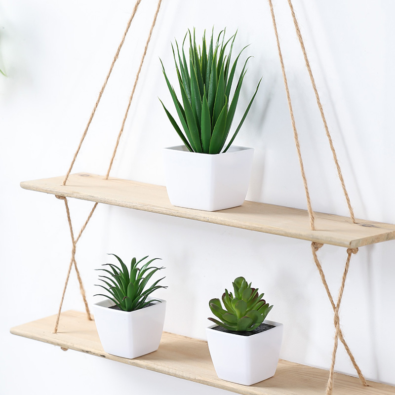 (3PCS 세트) 집, 레스토랑, 탁상, 창턱 및 책장 - Bonsai Garden Kit 리뷰 및 가격