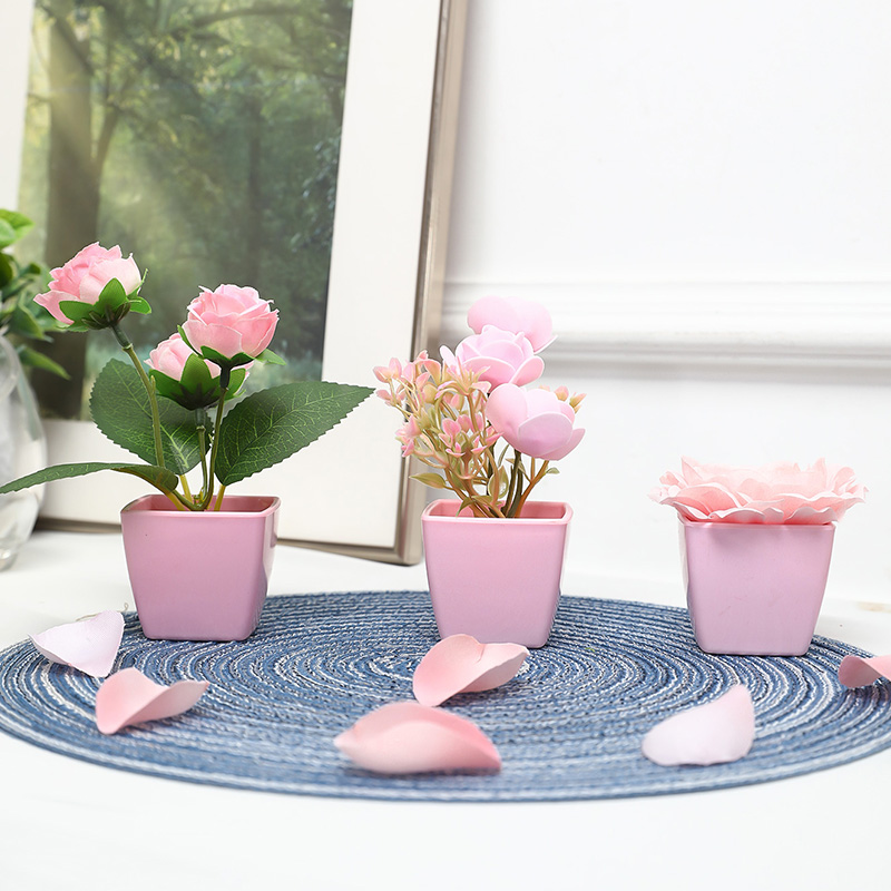 (3PCS 세트) 집, 레스토랑, 탁상, 창턱 및 책장 - Bonsai Garden Kit 리뷰 및 가격