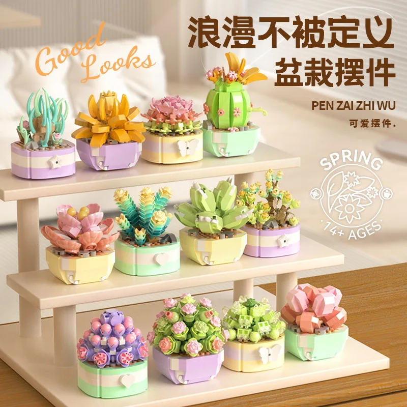 다육 식물 빌딩 블록, 선인장 안개꽃 분재 나무 정원, - Bonsai Garden Kit 리뷰 및 가격