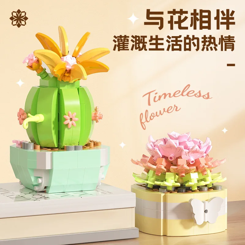 다육 식물 빌딩 블록, 선인장 안개꽃 분재 나무 정원, - Bonsai Garden Kit 리뷰 및 가격