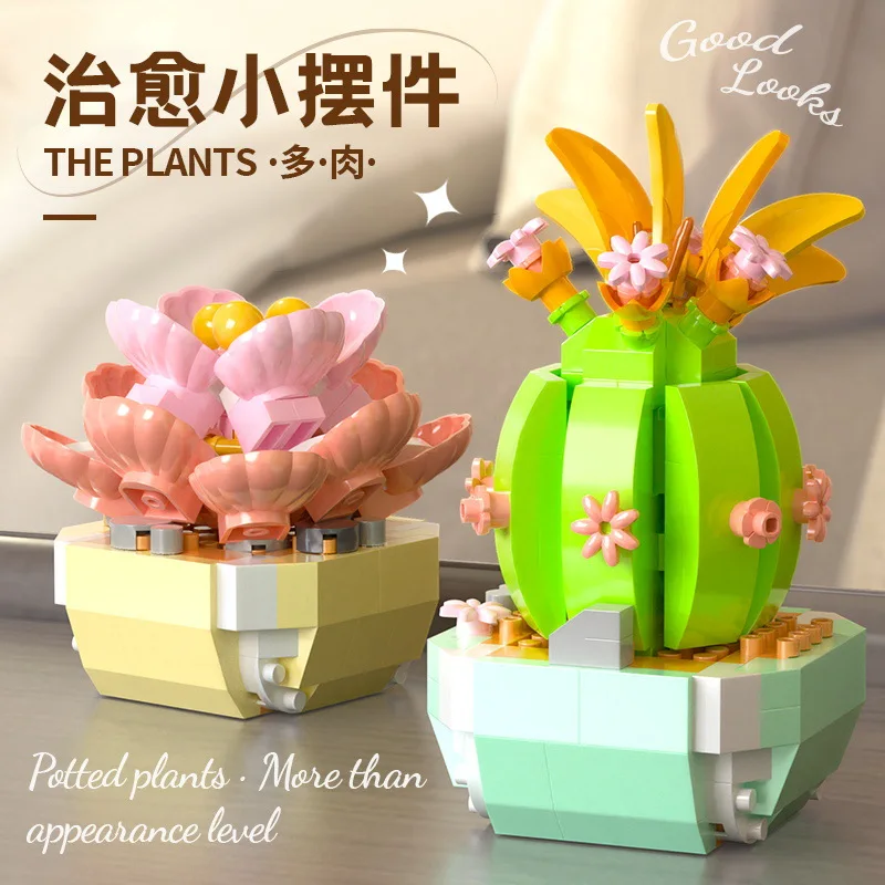 다육 식물 빌딩 블록, 선인장 안개꽃 분재 나무 정원, - Bonsai Garden Kit 리뷰 및 가격