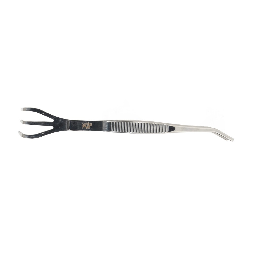 내구성이 뛰어난 2 in 1 분재 갈퀴 스테인레스 스틸 - Bonsai Garden Tools 리뷰 및 가격