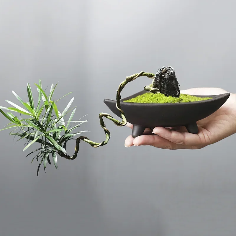맞춤형 세라믹 화분, 대나무 실내 마이크로 조경 식물, - Japanese Garden Bonsai 리뷰 및 가격