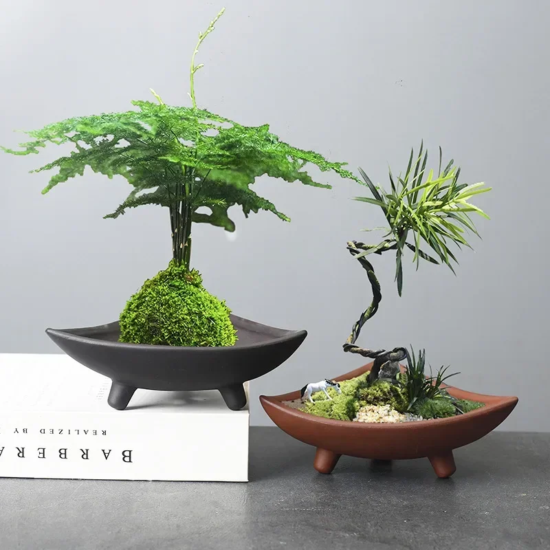 맞춤형 세라믹 화분, 대나무 실내 마이크로 조경 식물, - Japanese Garden Bonsai 리뷰 및 가격