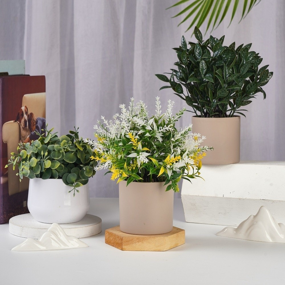 시뮬레이션 플라스틱 식물 인조 식물 분재 상록수 가짜  - Bonsai Garden Kit 리뷰 및 가격