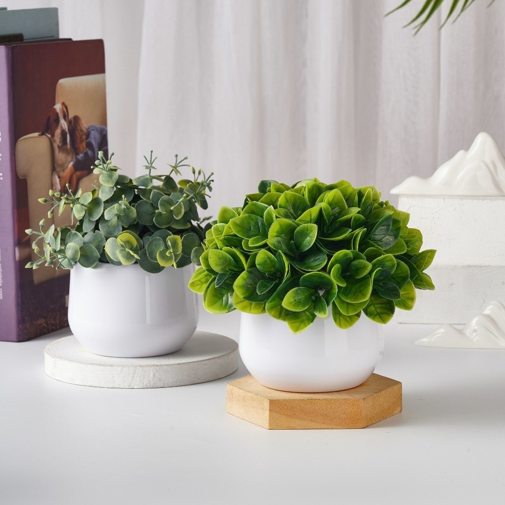 시뮬레이션 플라스틱 식물 인조 식물 분재 상록수 가짜  - Bonsai Garden Kit 리뷰 및 가격