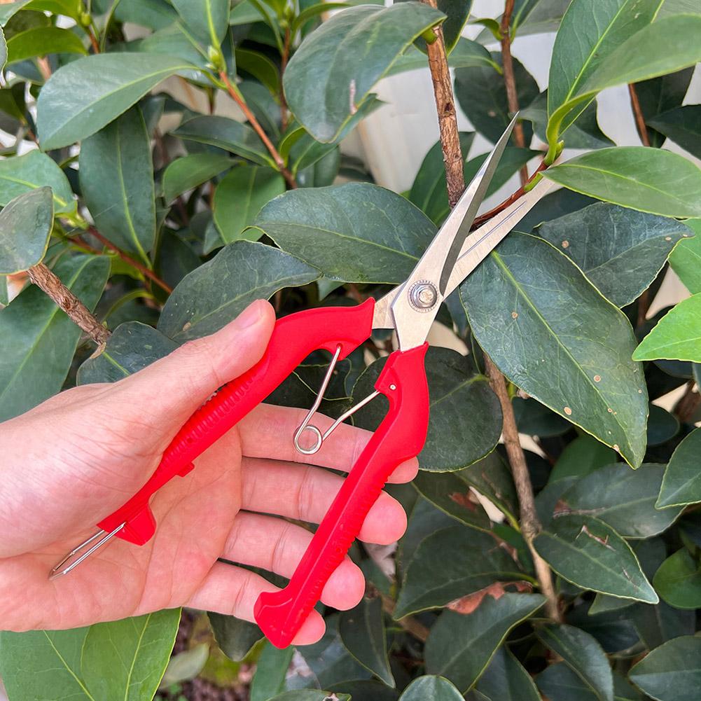 프로 가든 전정가위 연장형 나무 꽃 가위 수제 분재 가 - Bonsai Garden Tools 리뷰 및 가격