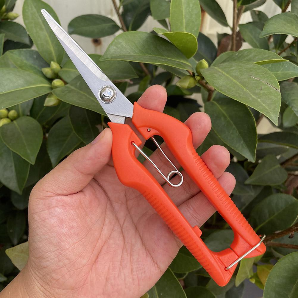 프로 가든 전정가위 연장형 나무 꽃 가위 수제 분재 가 - Bonsai Garden Tools 리뷰 및 가격