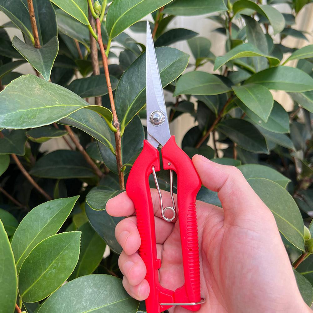프로 가든 전정가위 연장형 나무 꽃 가위 수제 분재 가 - Bonsai Garden Tools 리뷰 및 가격