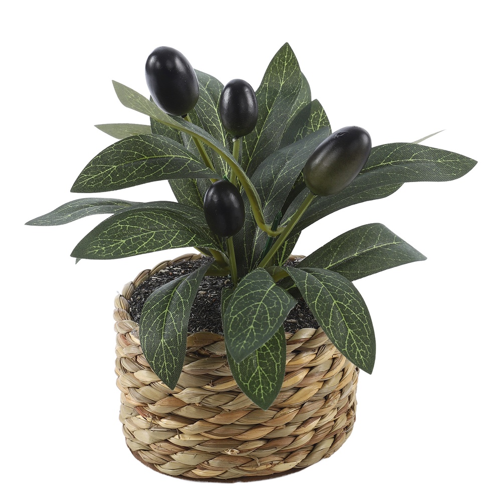 인조 식물 포켓 올리브 나무 플라스틱 가짜 식물 분재  - Bonsai Garden Kit 리뷰 및 가격