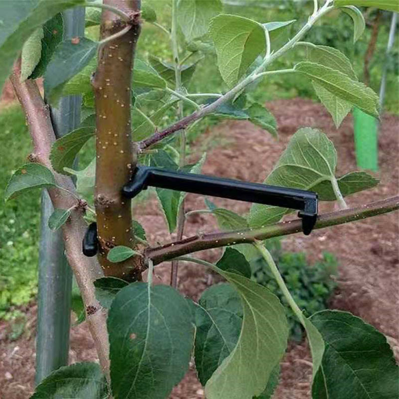 10-30Pcs 과일 나무 클립 식물 덩굴 지원 트위스 - Bonsai Garden Tools 리뷰 및 가격